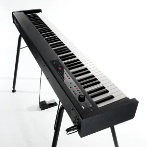 Korg D1