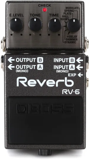 Boss RV-6
