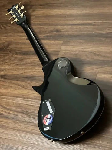 LTD EC-256