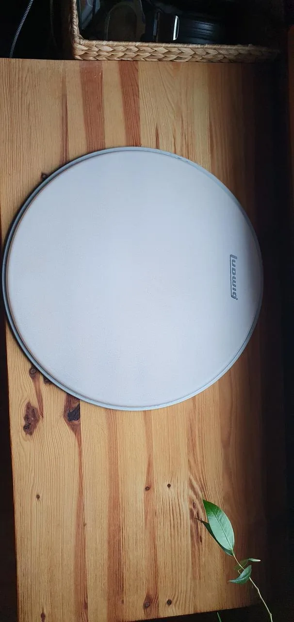 Ludwig snare blana coated 14"