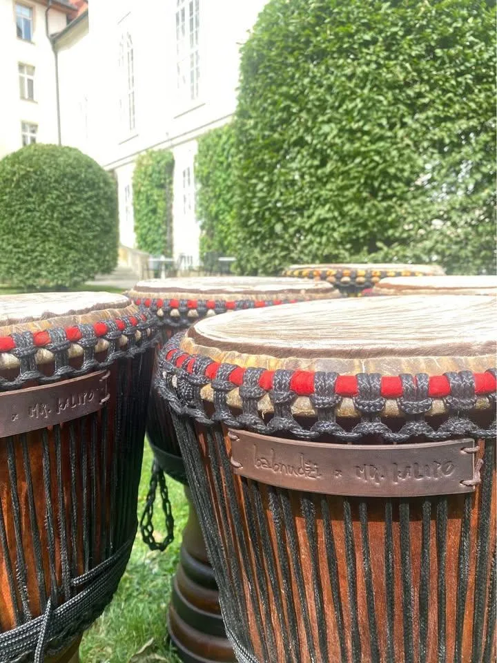 Djembe 12" by Babnudži drums
