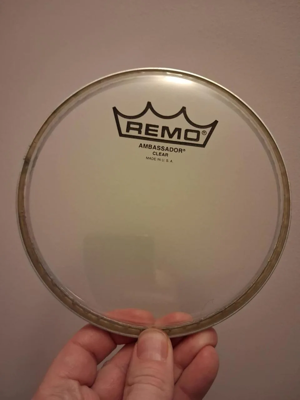 Remo Ambassador 6"