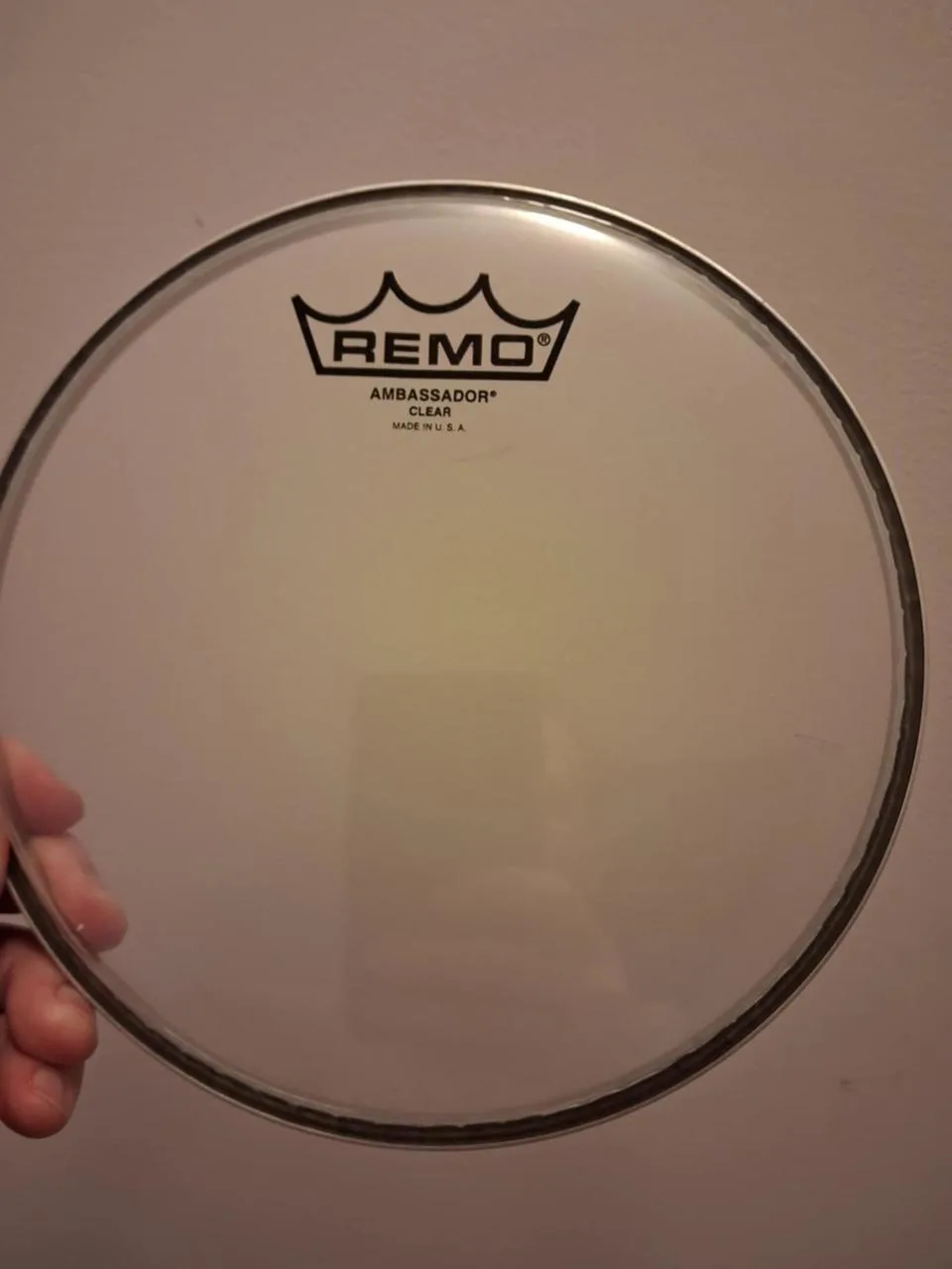 Remo Ambassador 8"