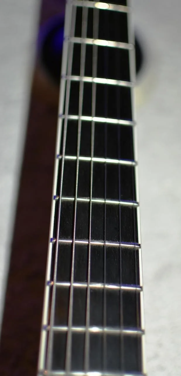 PRS Torero SE Floyd Rose