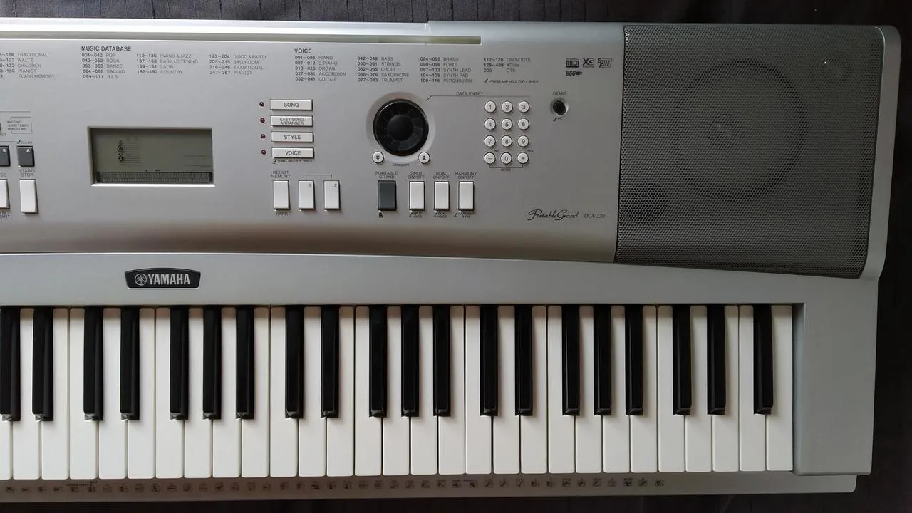 Klávesy Yamaha DGX 220