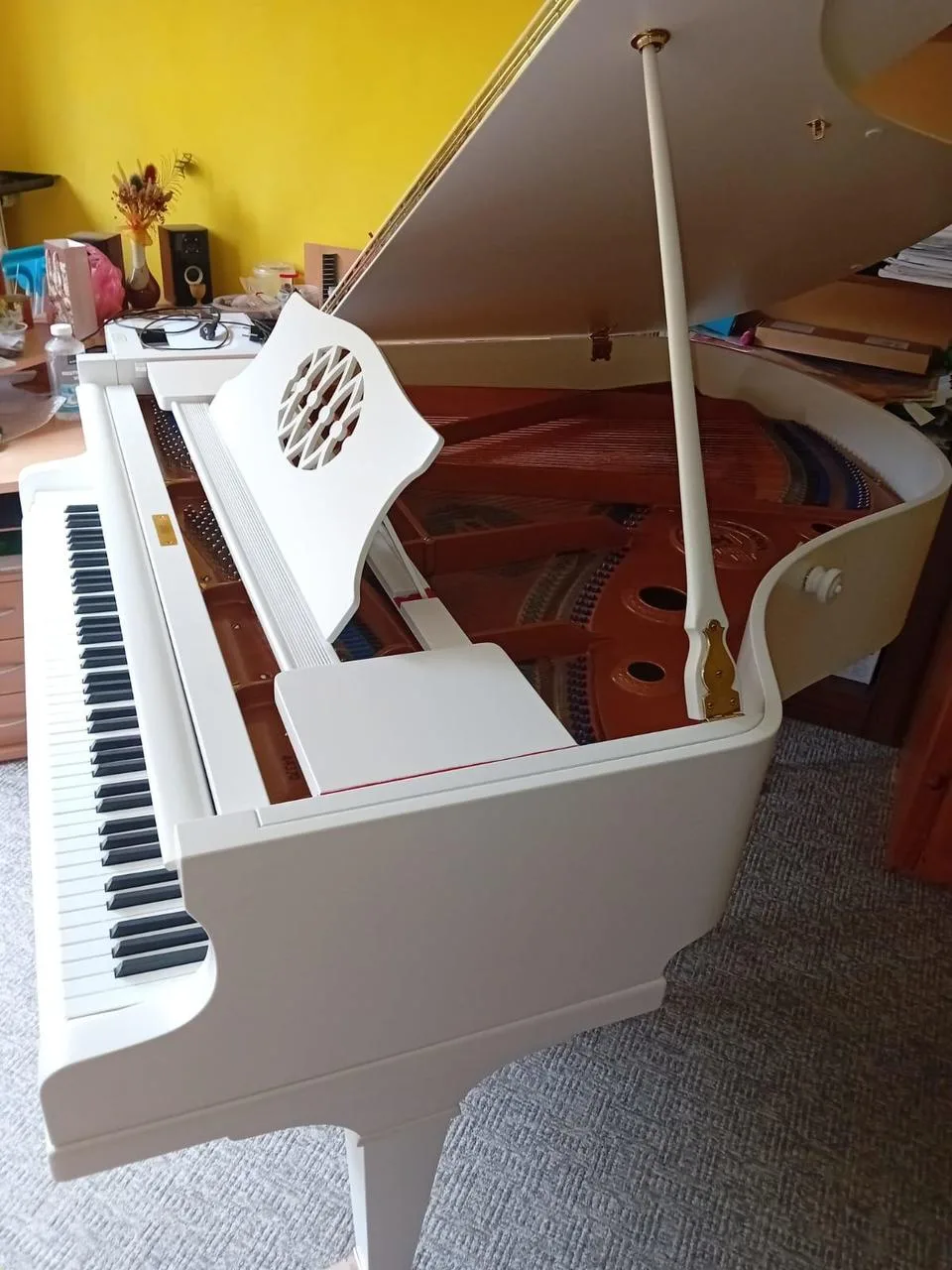 Klavír PETROF model V (160cm)