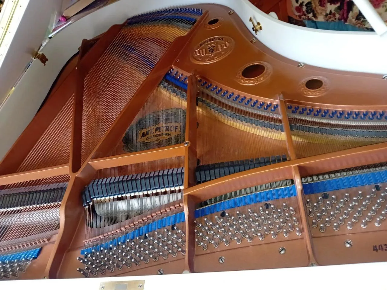 Náhled 5