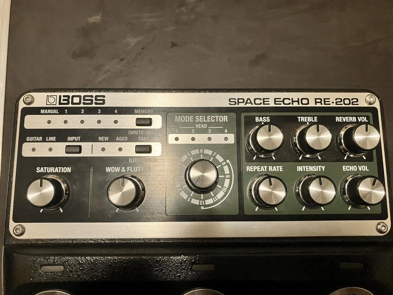 Boss RE-202