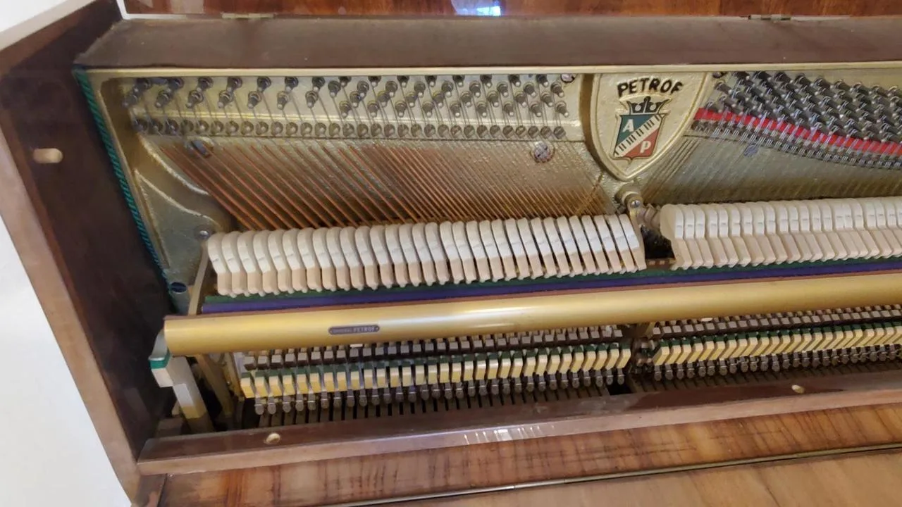 Náhled 8