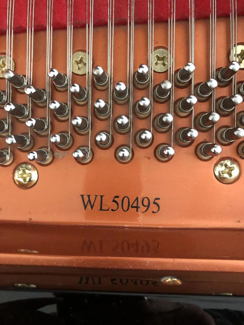 WEND LUNG Professional II