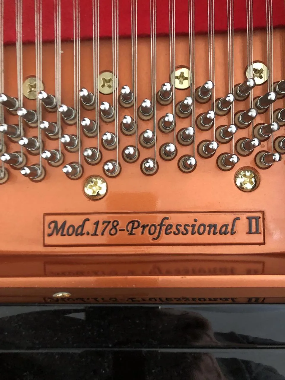 WEND LUNG Professional II