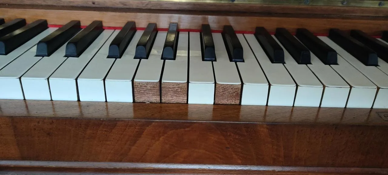 Náhled 6