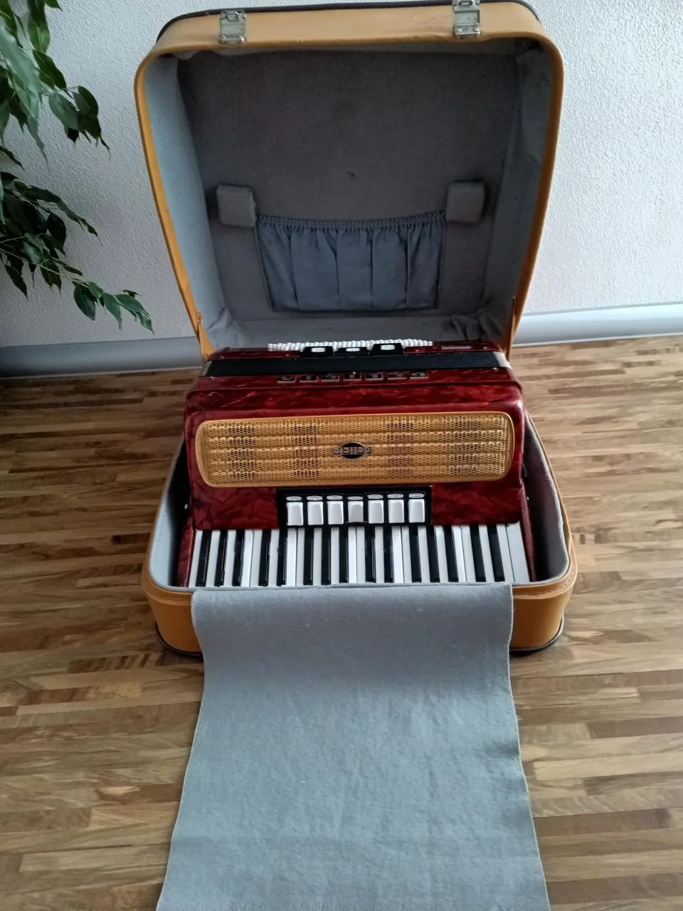 Harmonika, akordeon DELICIA Carmen 80 basů