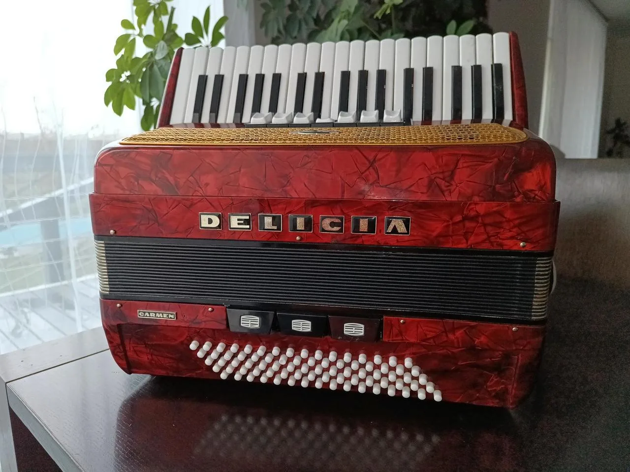 Harmonika, akordeon DELICIA Carmen 80 basů