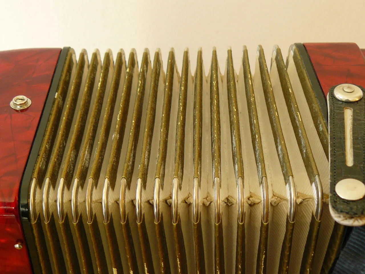 Náhled 5