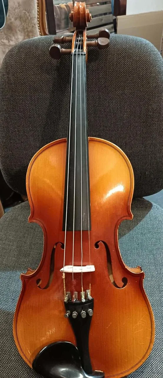 Celé housle
