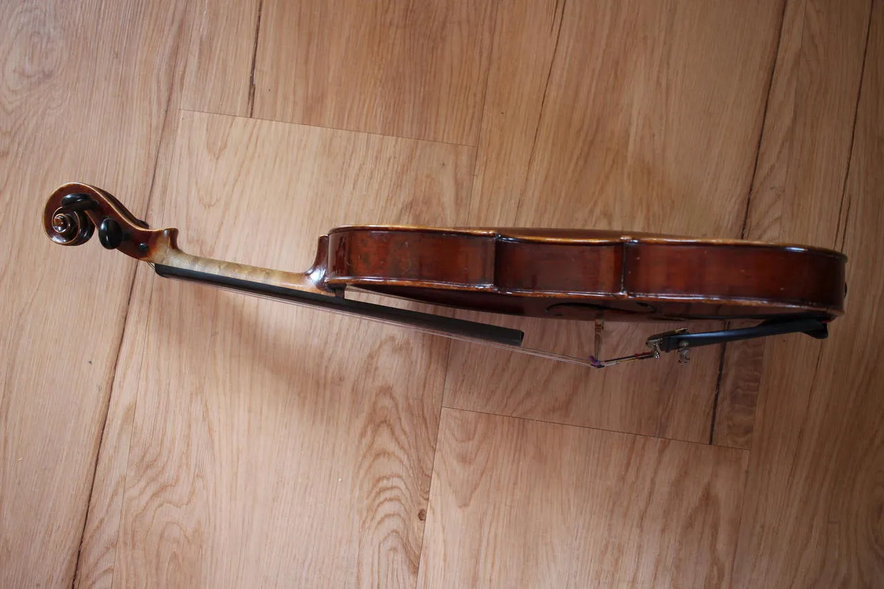 Antonius Stradivarius Cremonensis Faciebad anno 1721 (Lídl)
