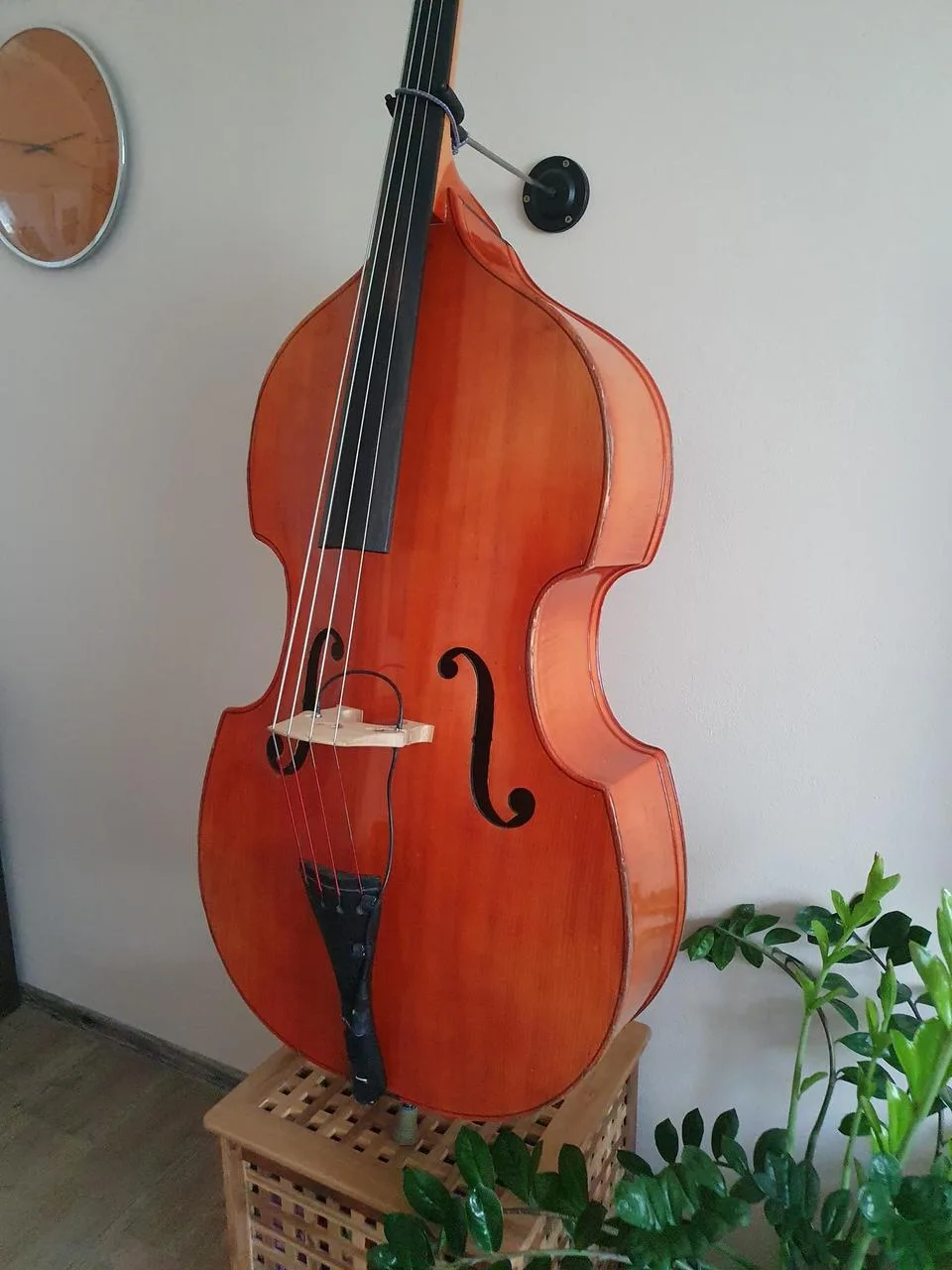 Celomasívní český 3/4 kontrabas, snímač, obal