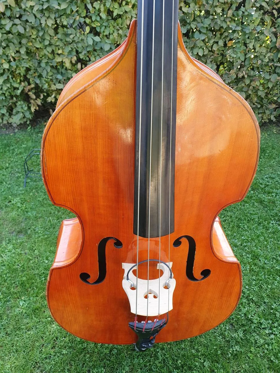 Náhled 4