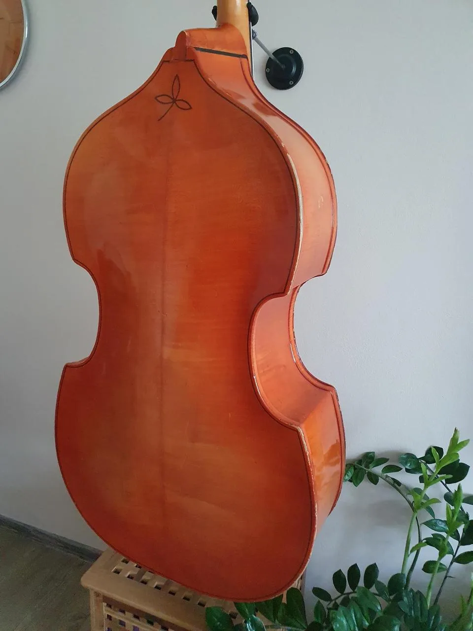 Náhled 5