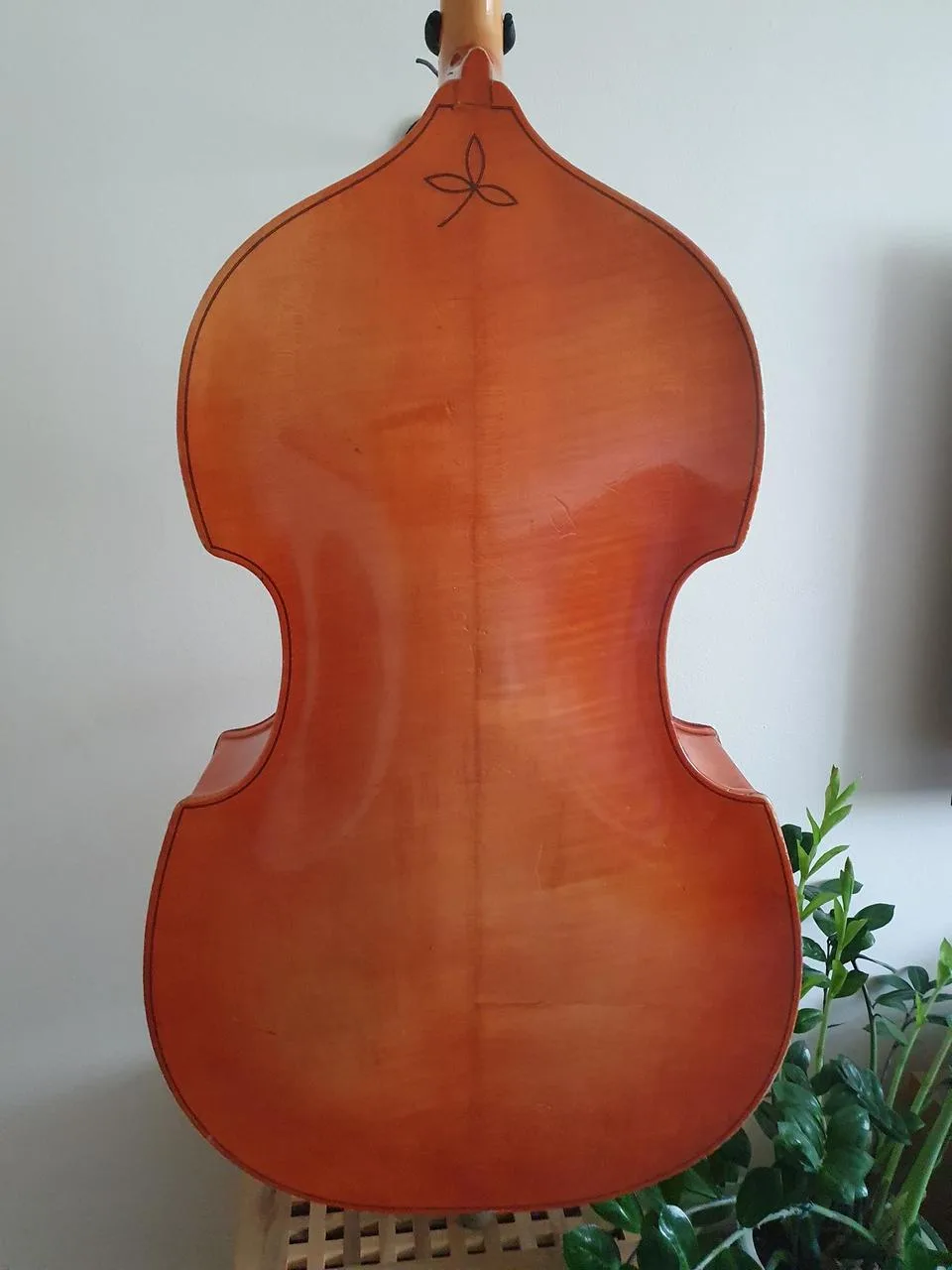 Náhled 6