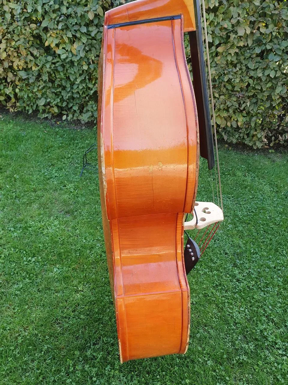 Náhled 8