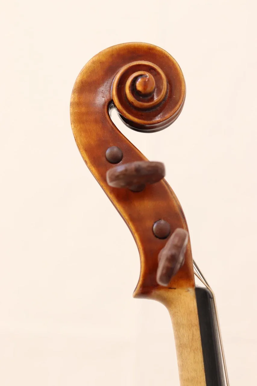 Náhled 5