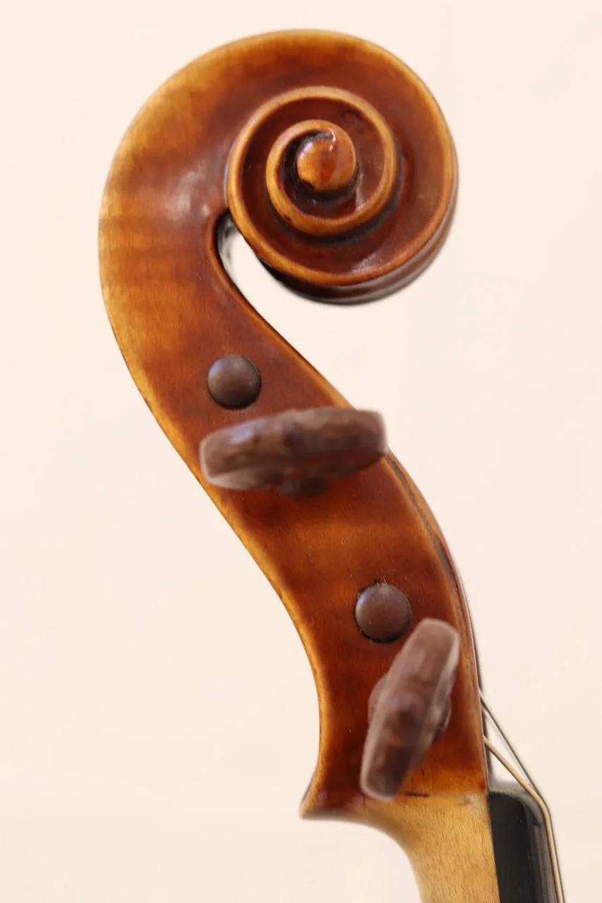 Náhled 6