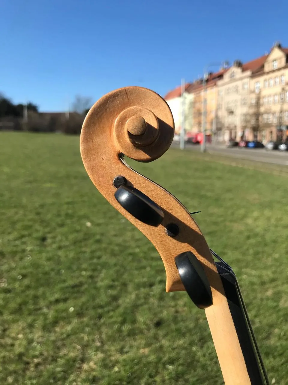 Náhled 5