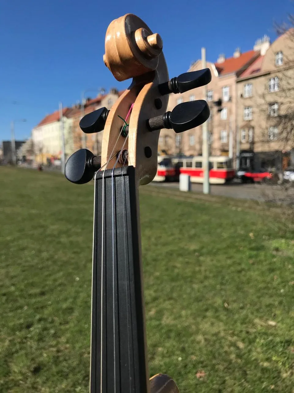 Náhled 6
