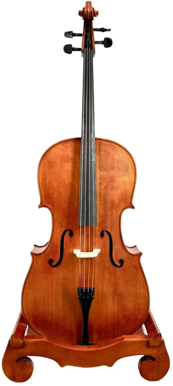 Mistrovské violoncello model Gagliano
