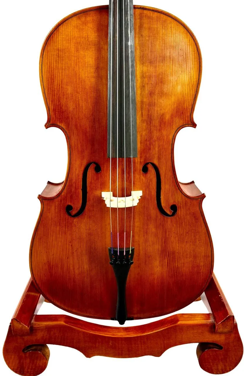 Mistrovské violoncello model Gagliano