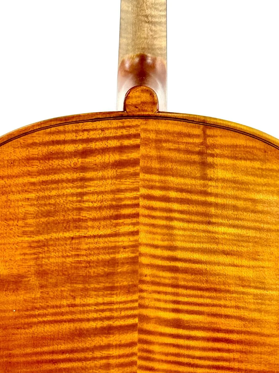 Náhled 9