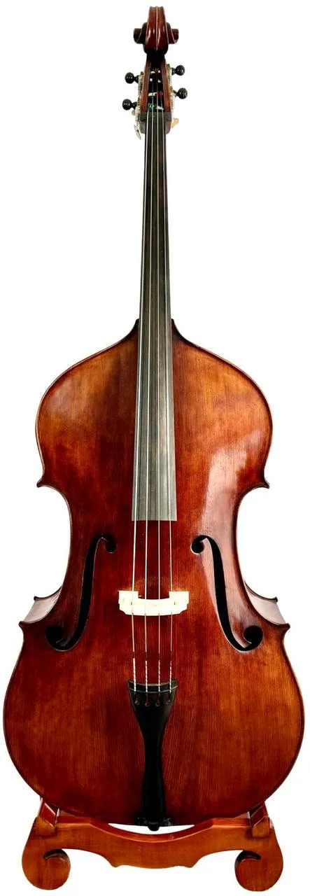 Mistrovský kontrabas 3/4 model Amati 2023