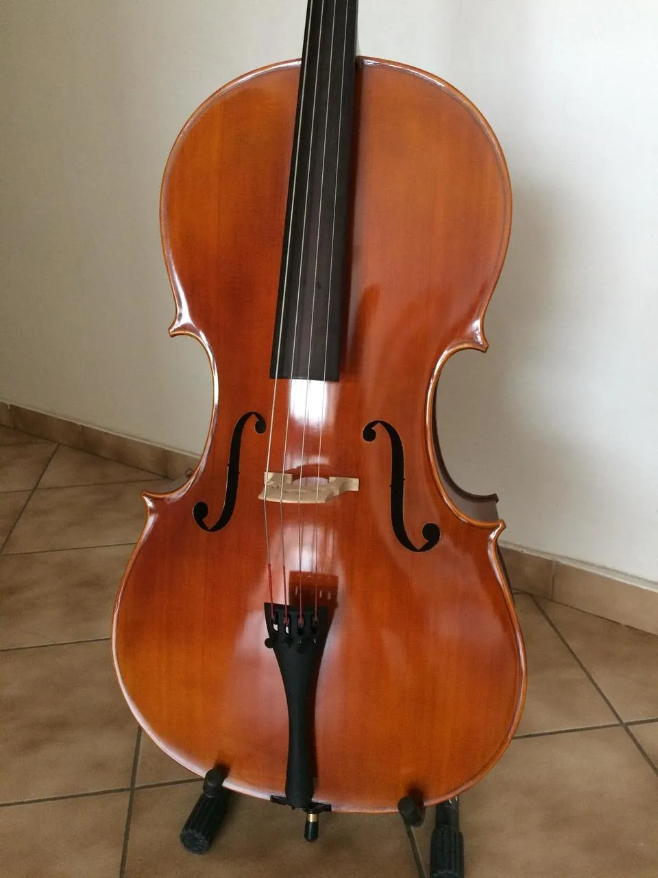 Violoncello