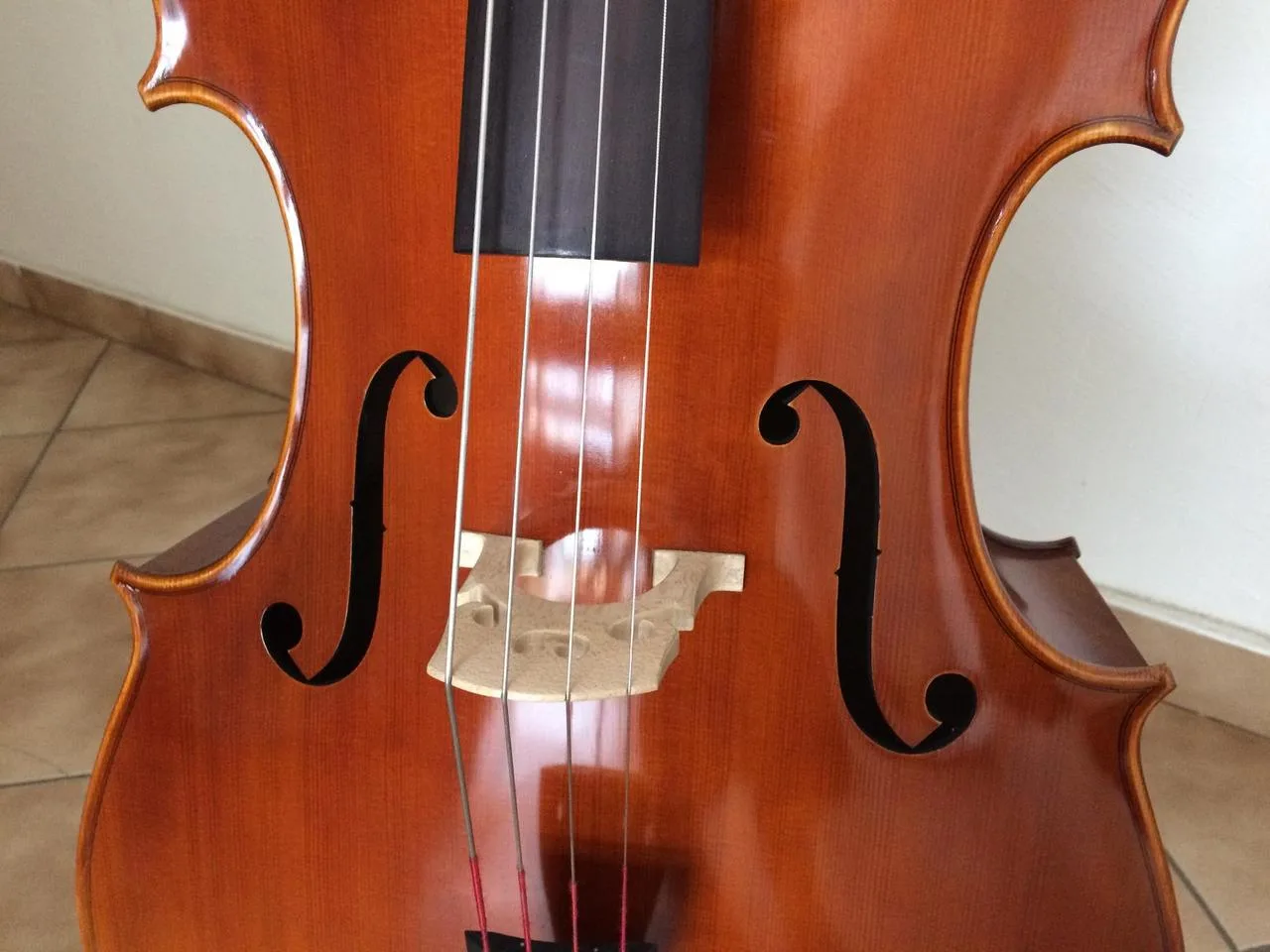 Violoncello