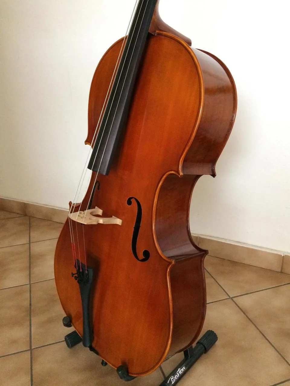 Violoncello