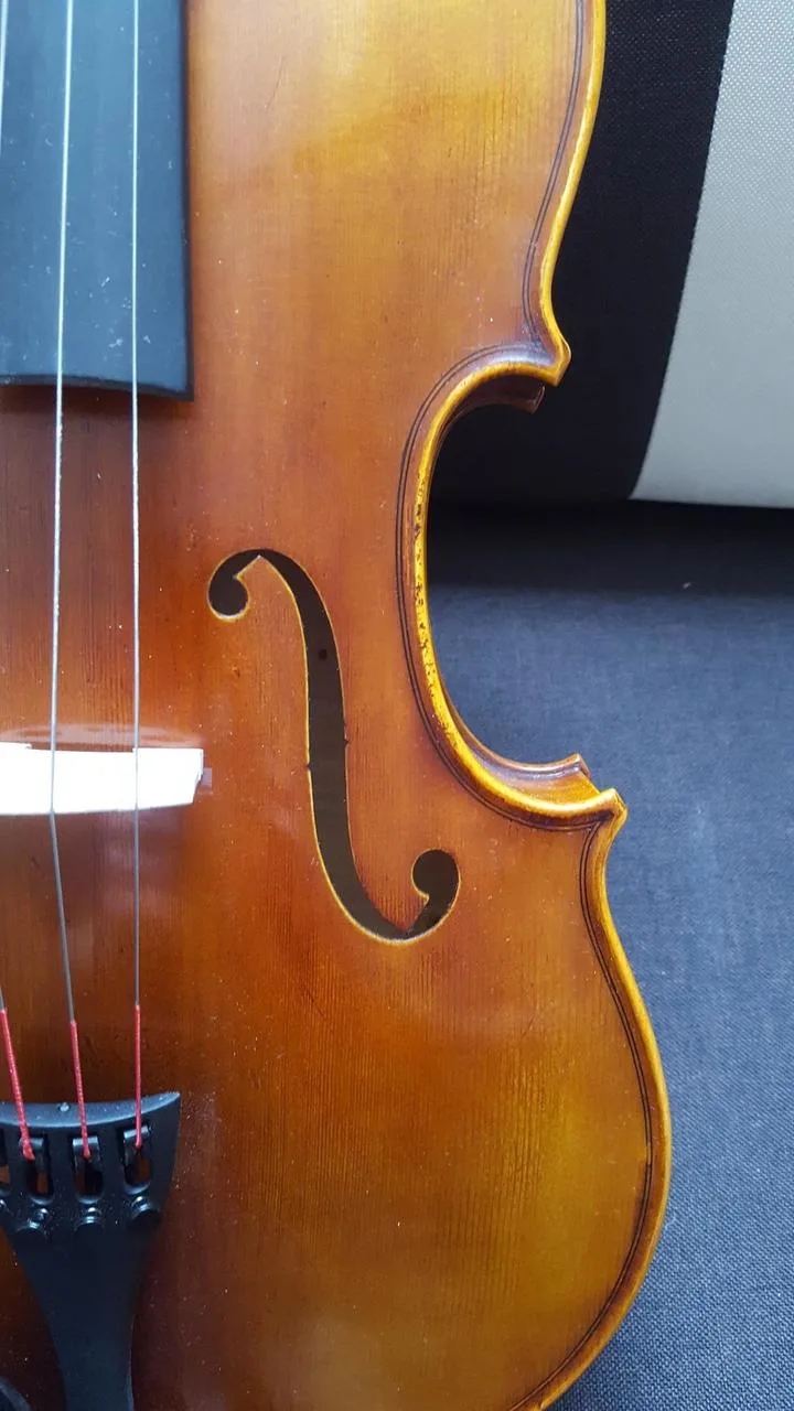 Viola 39,5 cm