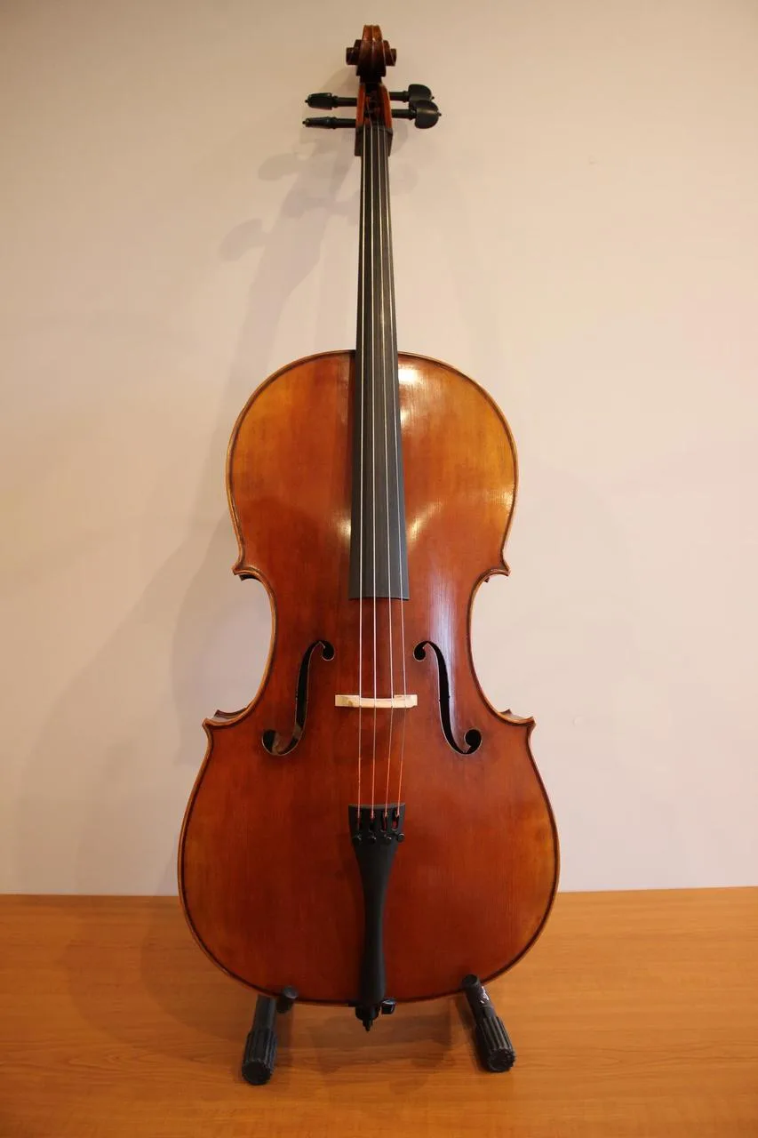 Prodám violoncello model Davidov 1712