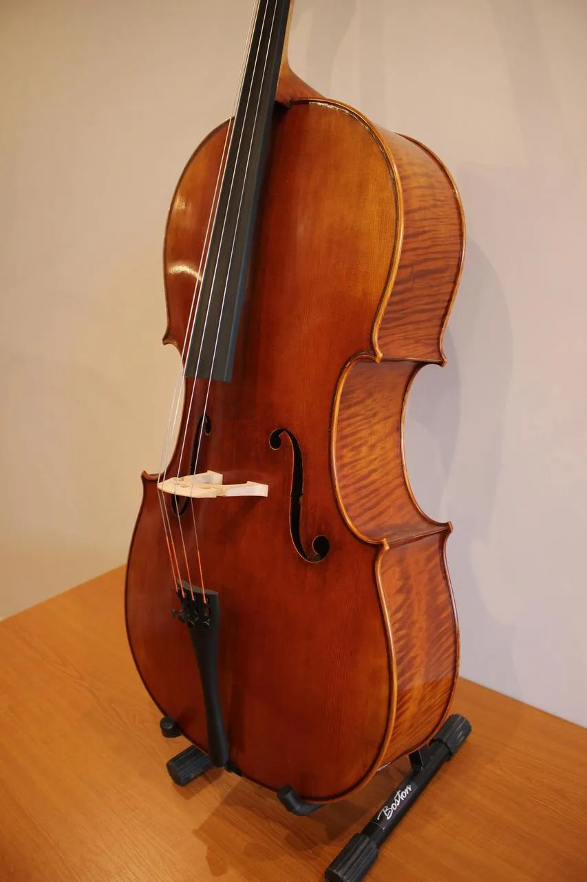 Prodám violoncello model Davidov 1712