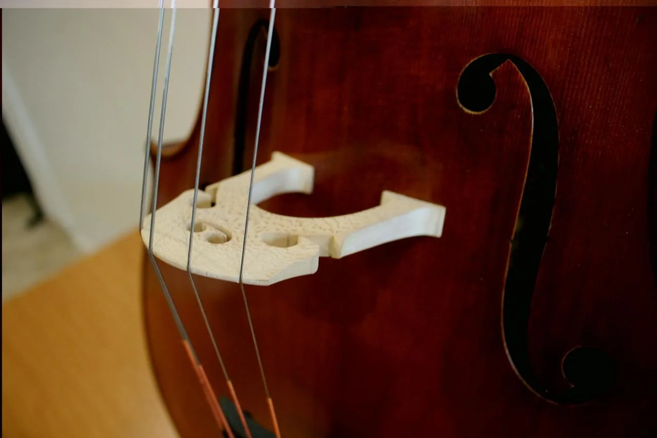 Prodám violoncello model Davidov 1712