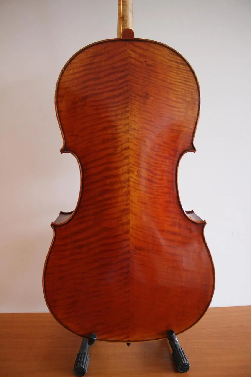 Náhled 5