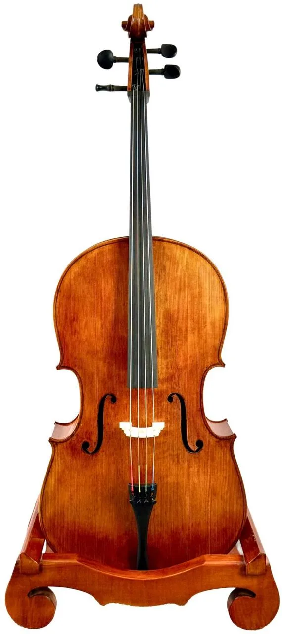 Mistrovské violoncello model Montagnana