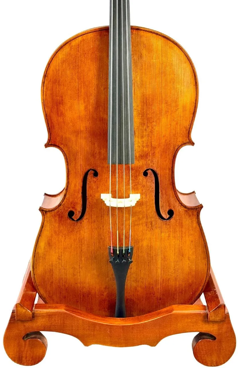 Mistrovské violoncello model Montagnana