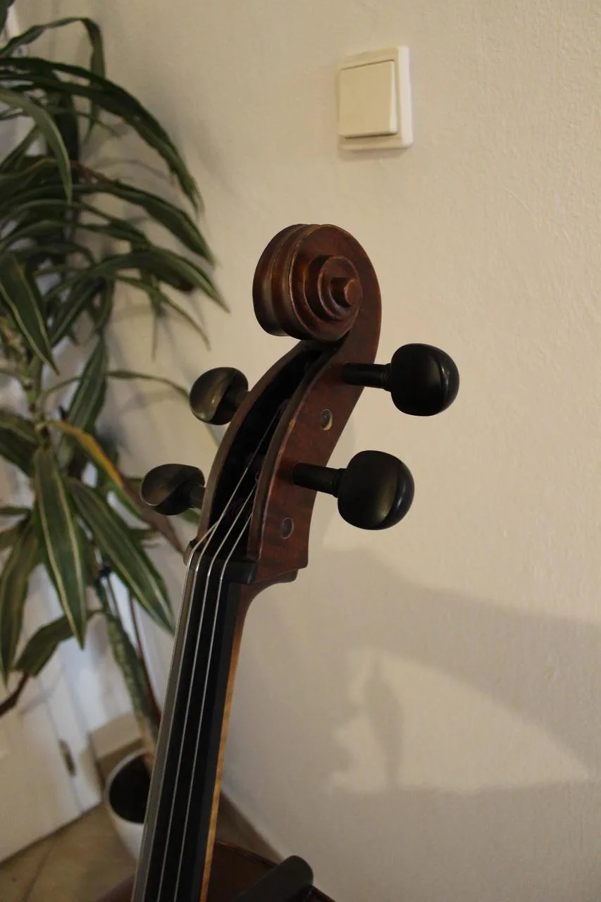 Prodám 4/4 violoncello