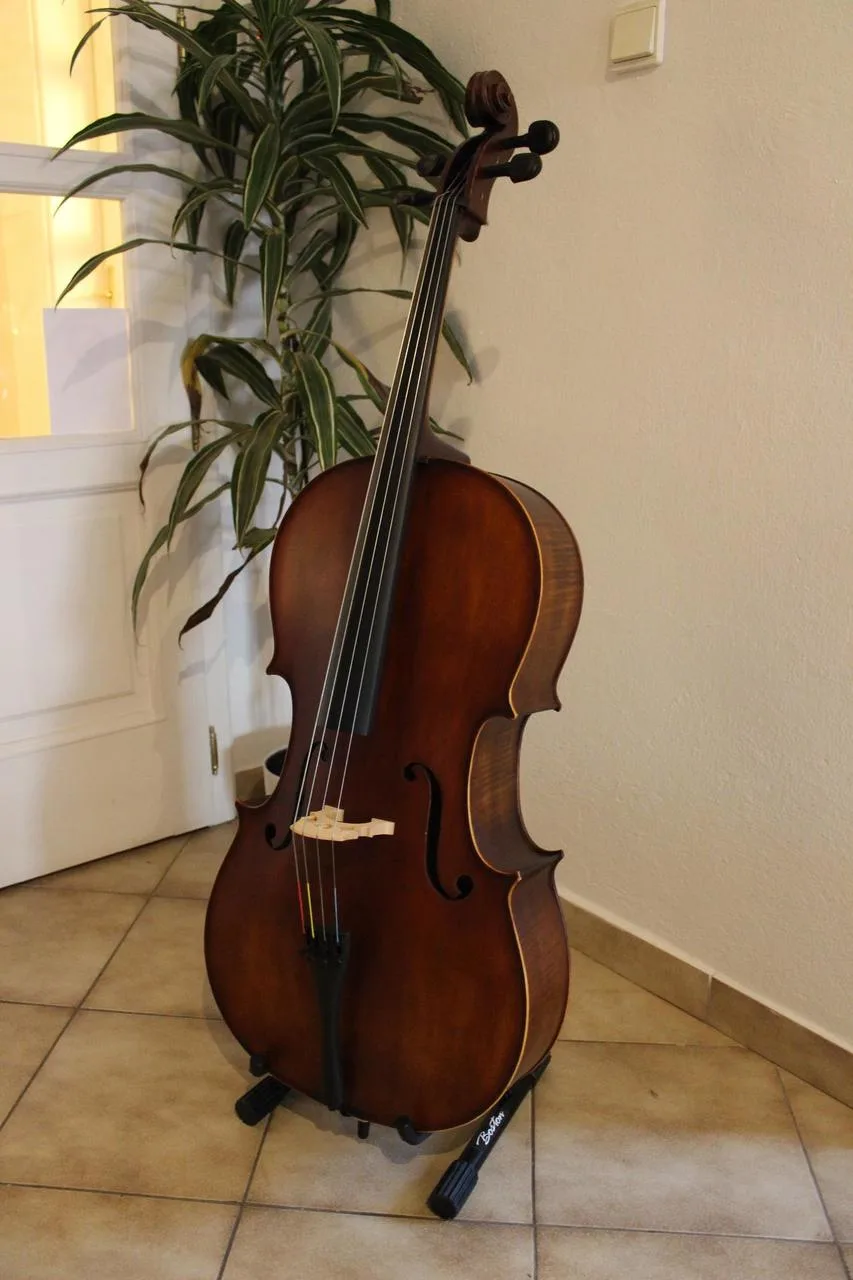 Náhled 5