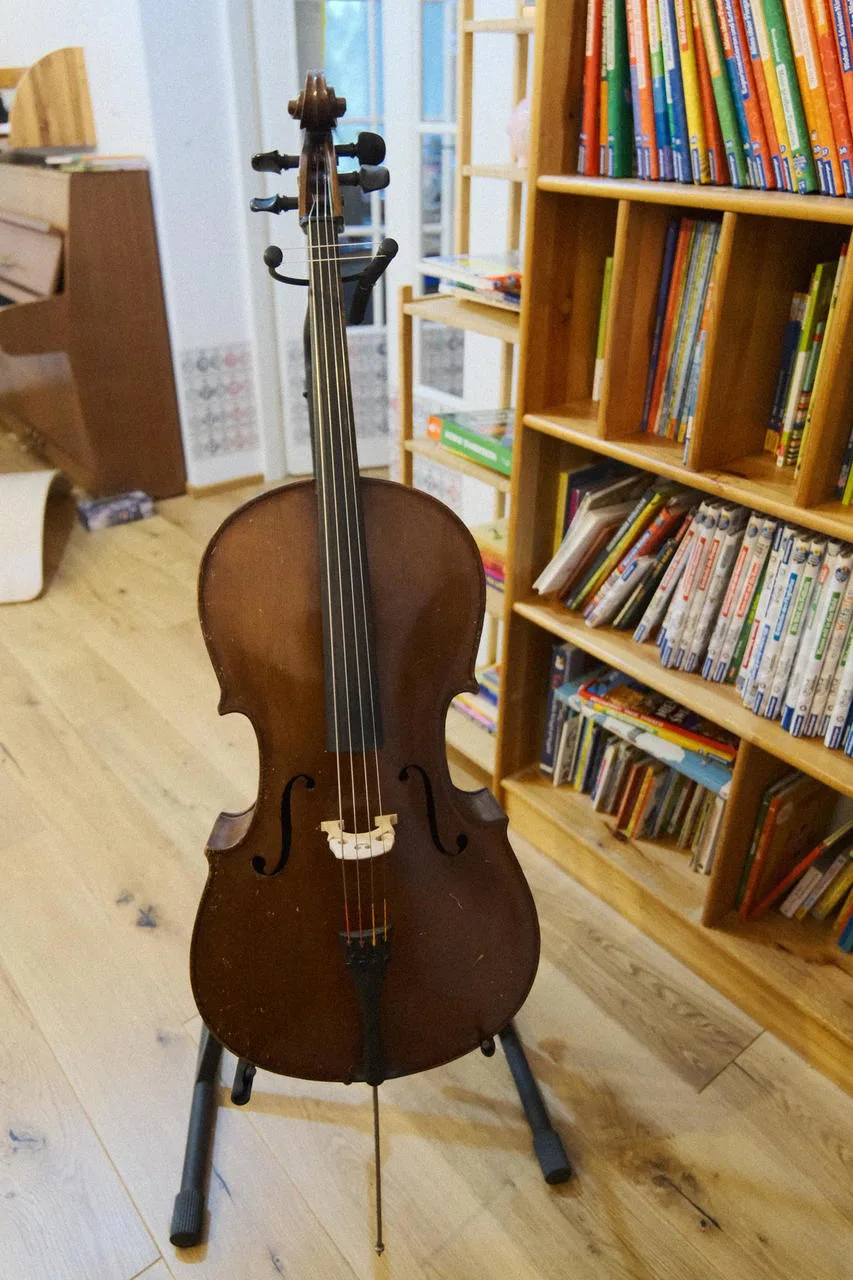 Francouzské violoncello 1/2