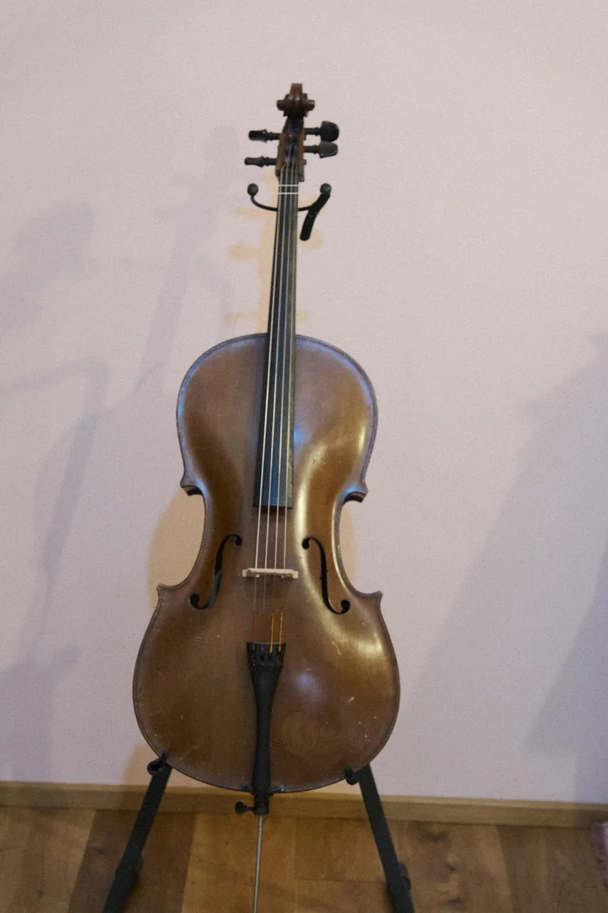 Francouzské violoncello 1/2
