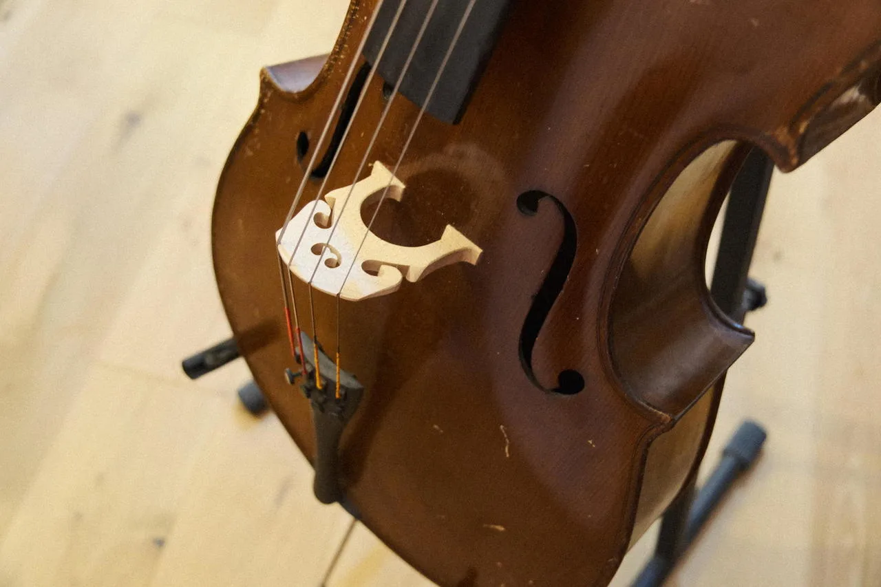 Francouzské violoncello 1/2