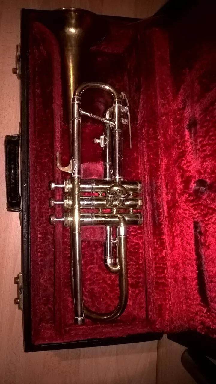 Náhled 6